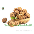 plantting base price professional processed Walnut Kernels